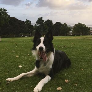 Meet your Posher, Sandro